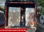Xe Tải Chở Hàng Thủ Đức Giá Rẻ, Uy Tín 24/7