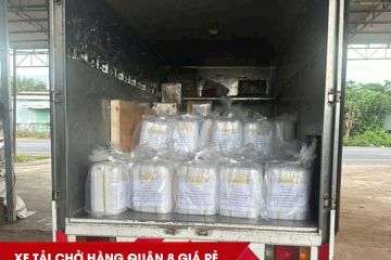 Dịch Vụ Xe Tải Chở Hàng Quận 8 Giá Rẻ, Nhanh Chóng, 24/7